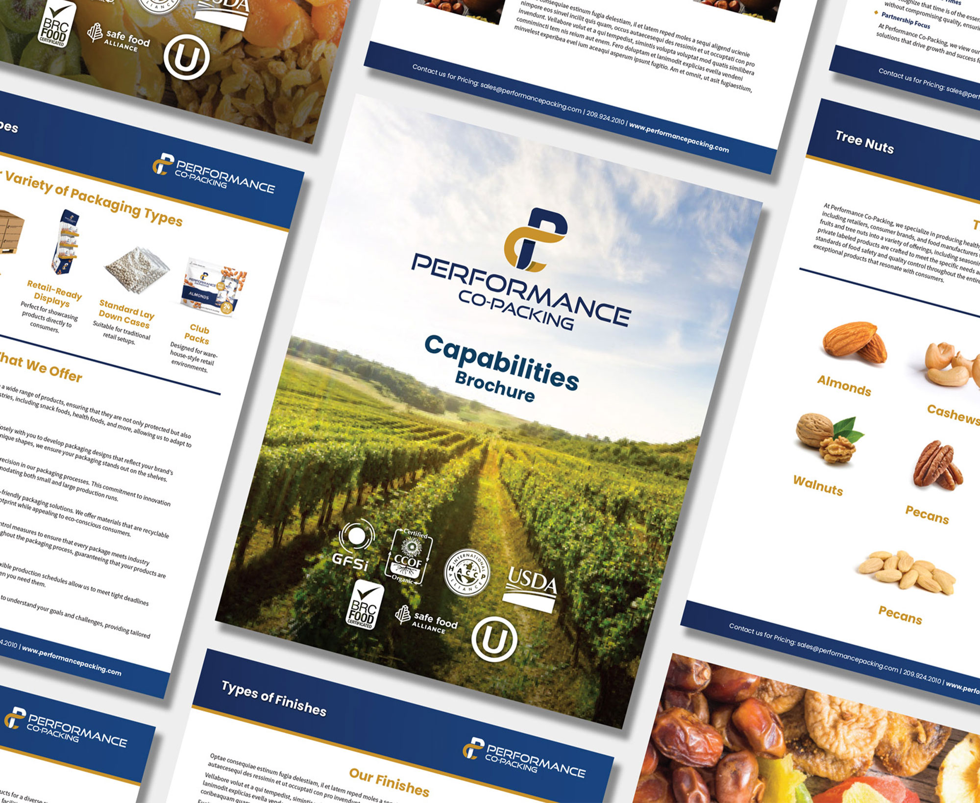 Octane Advertising & Design Performance-Co-Packing Sales Sheet Design