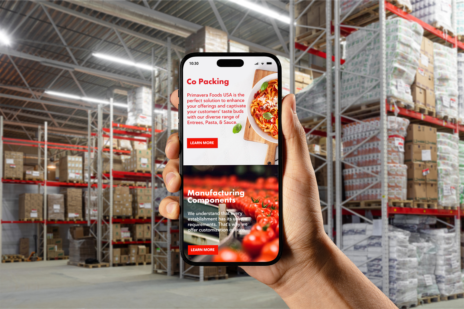 Octane Advertising & Design Primavera USA Foods mobile responsive website Design 